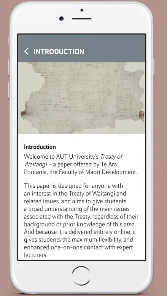 Capturas de pantalla de Treaty of Waitangi