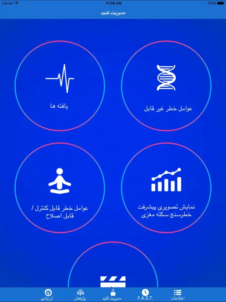 Stroke RiskoMeter Pro - Farsi iPad  سکرین شاٹس
