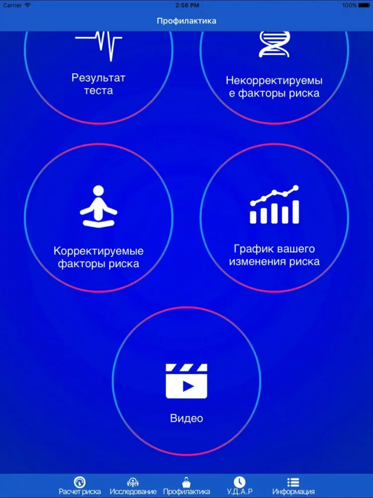 Рискометр Инсульта Lite iPad 应用截图