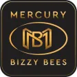 Mercury Cars Sutton Coldfield