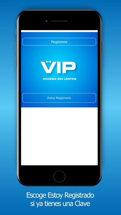 VIP access应用截图