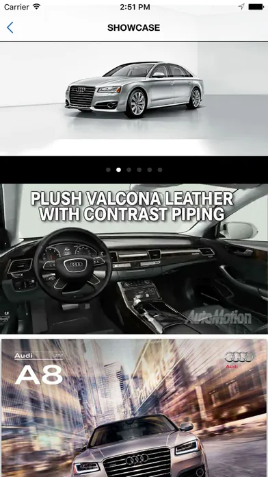 صور Audi Grapevine