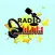 RADIO PROMO ARTISTE TV WEB