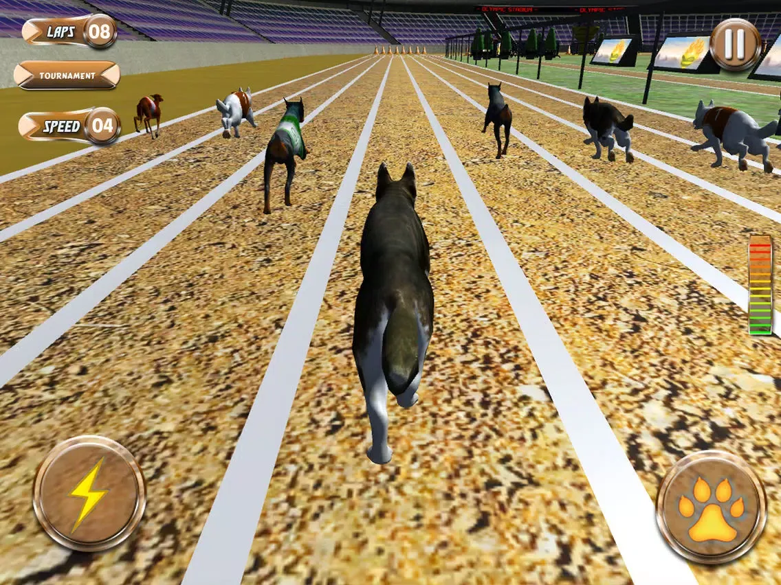 Captures d'écran de Greyhound Racing Tournament 2 iPad 