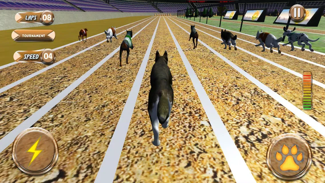 Captures d'écran de Greyhound Racing Tournament 2