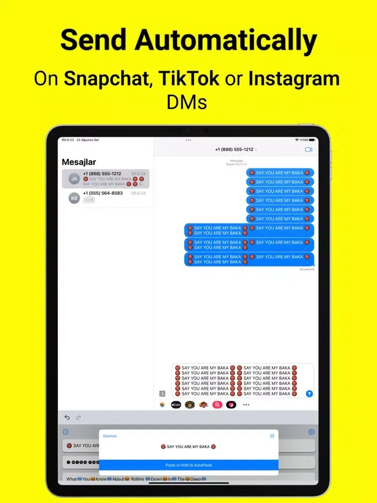 Zrzuty ekranu AutoSnap Keyboard - Auto Paste iPad 