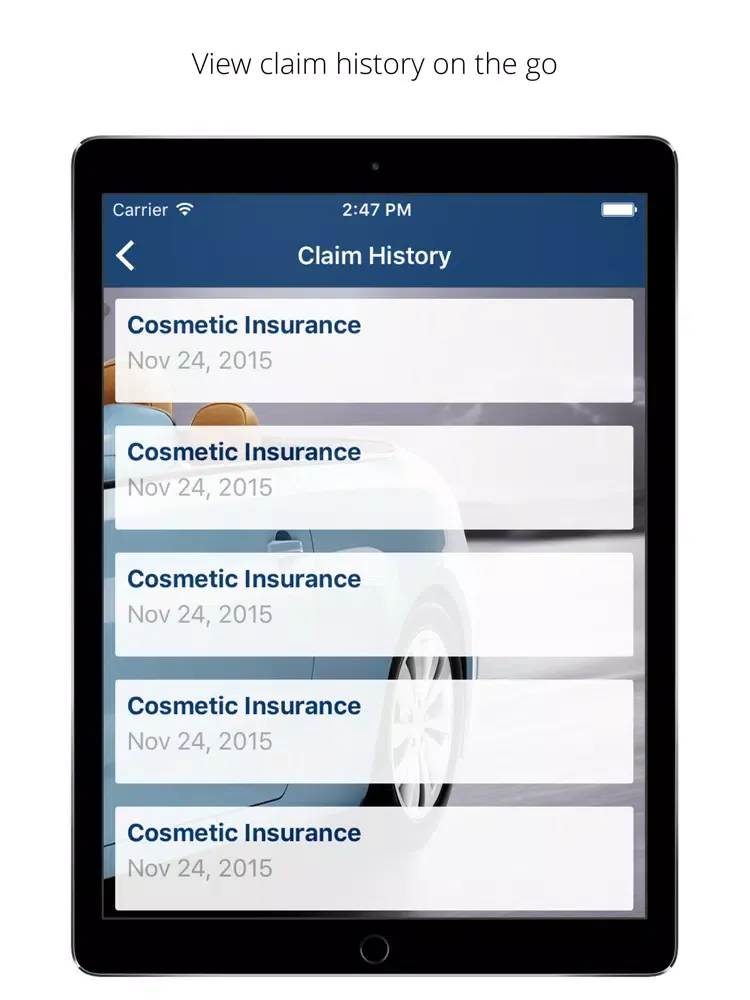 AutoTrust Cosmetic Repair iPad Screenshots