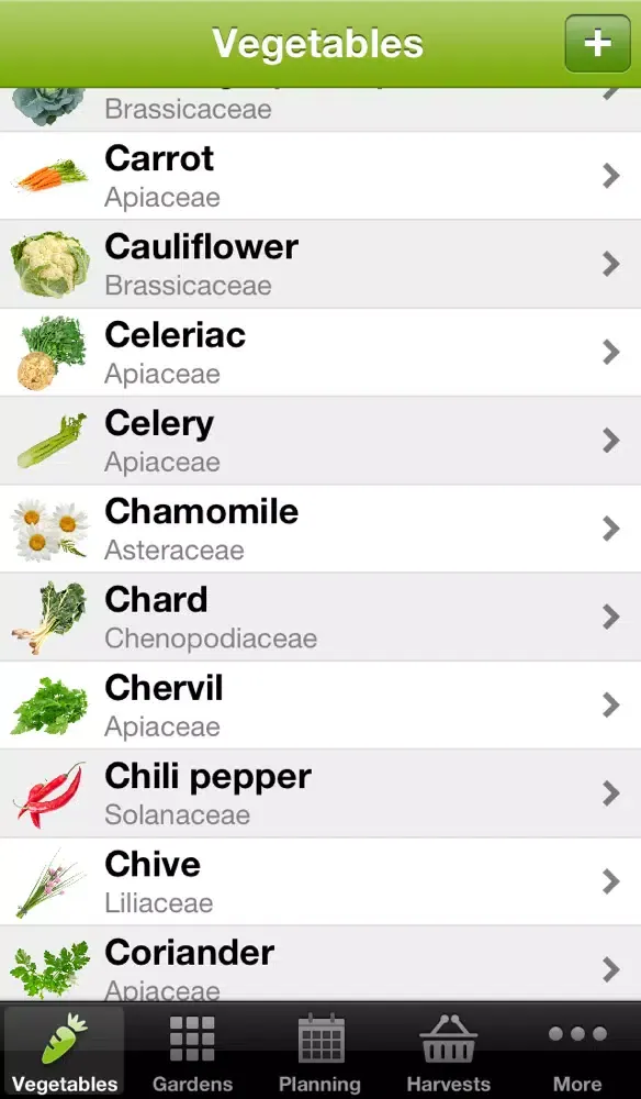 Screenshot di My Potager