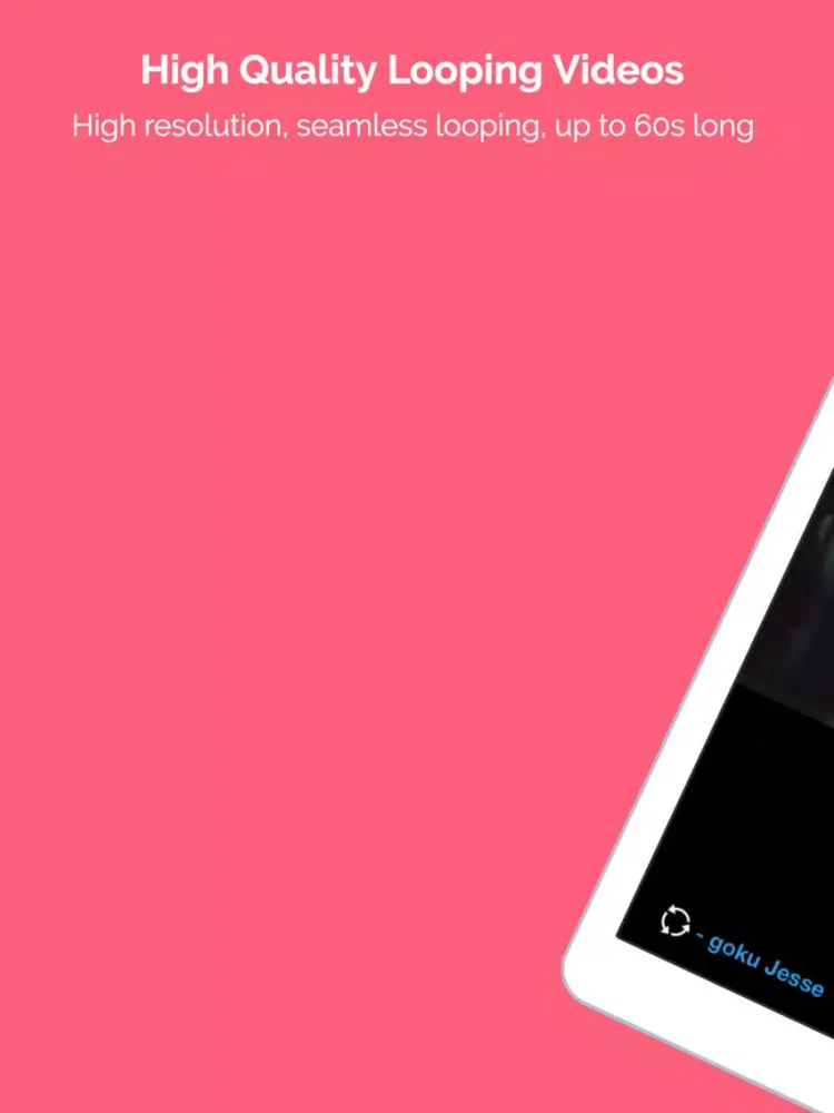 ZEN - Interactive Video iPad 应用截图