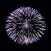 Firework Simulation - Crackers