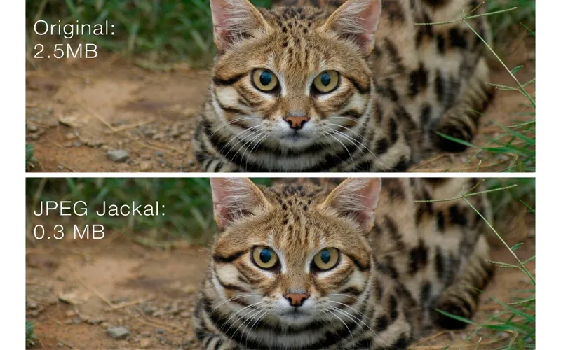 Captures d'écran de JPEG Jackal Lite