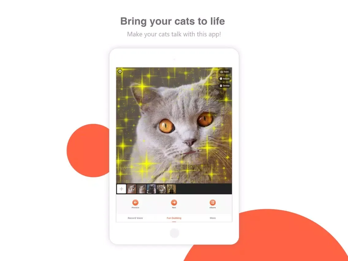 Bombing Cat iPad  স্ক্রিনশট