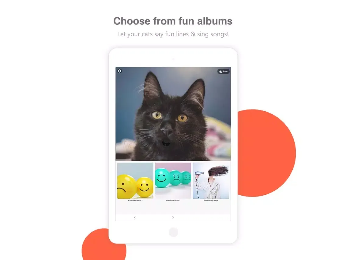 Bombing Cat iPad  স্ক্রিনশট