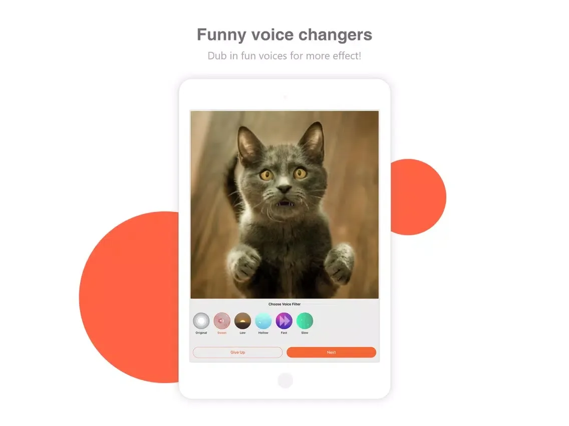 Bombing Cat iPad  স্ক্রিনশট