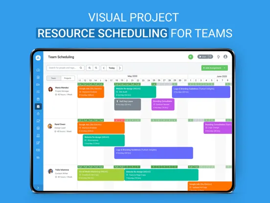 Avaza - Unified Team Work iPad  Screenshots
