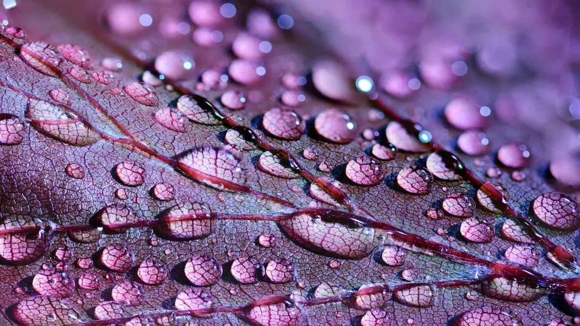 Capturas de tela do 4K 5K 8K Ultra HD Wallpapers