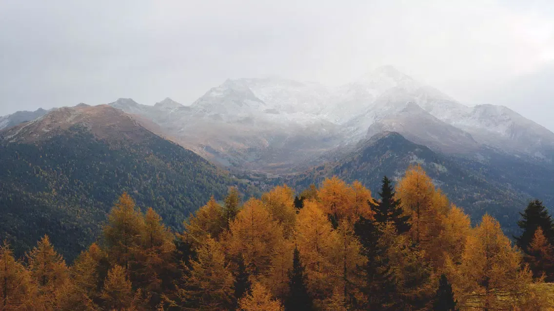 Capturas de tela do 4K 5K 8K Ultra HD Wallpapers