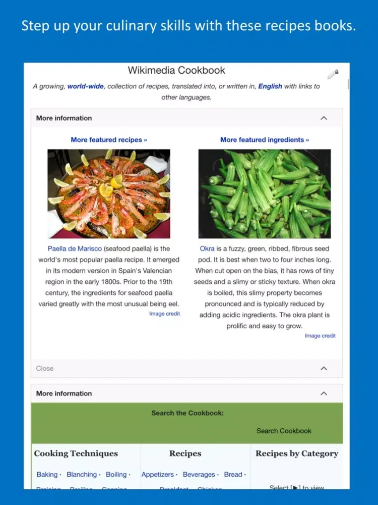 WikiSurfer for Wikibooks iPad  স্ক্রিনশট