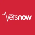 Vets Now Vets Now