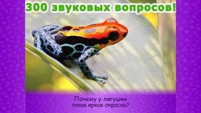 Ảnh chụp màn hình của Животные для детей малышей 2!