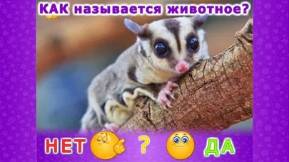 Ảnh chụp màn hình của Животные для детей малышей 2!