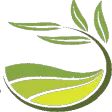 Olive Route