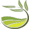 Olive Route