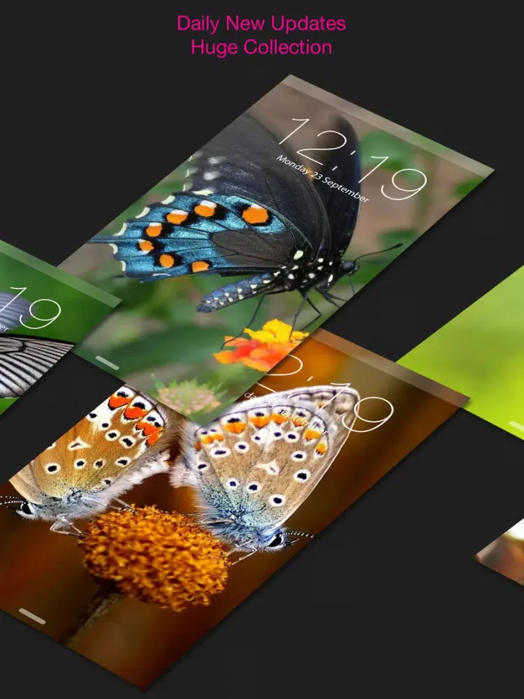 HD Wallpapers for Butterfly iPad 应用截图