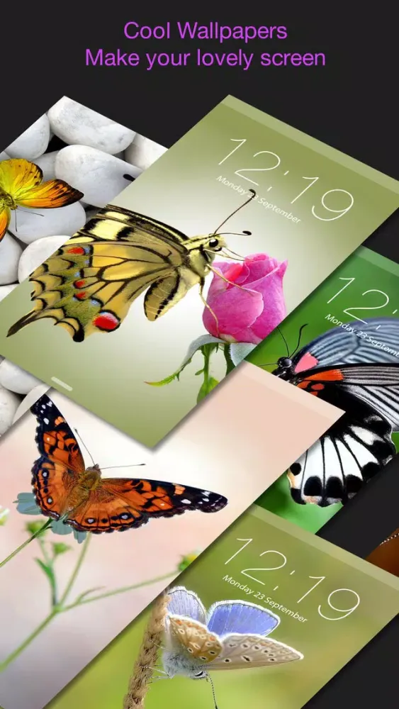 HD Wallpapers for Butterfly应用截图