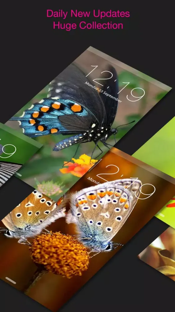 HD Wallpapers for Butterfly应用截图