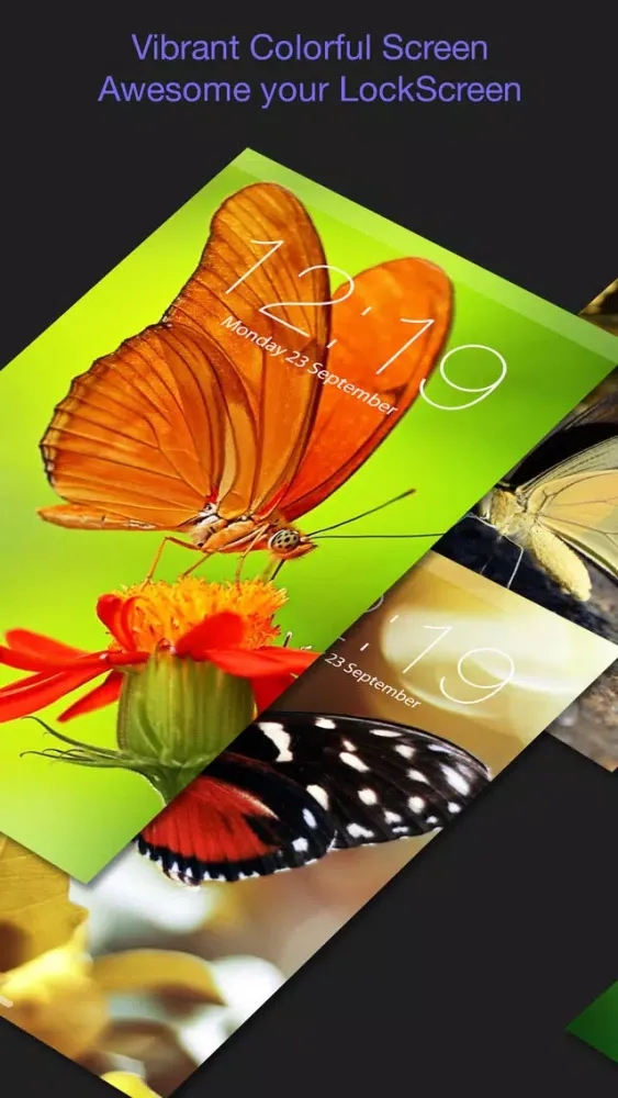 HD Wallpapers for Butterfly应用截图