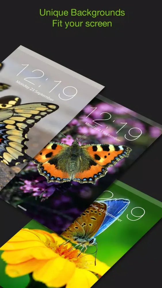 HD Wallpapers for Butterfly应用截图