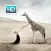 Funny & Creative Wallpapers & Backgrounds Themes