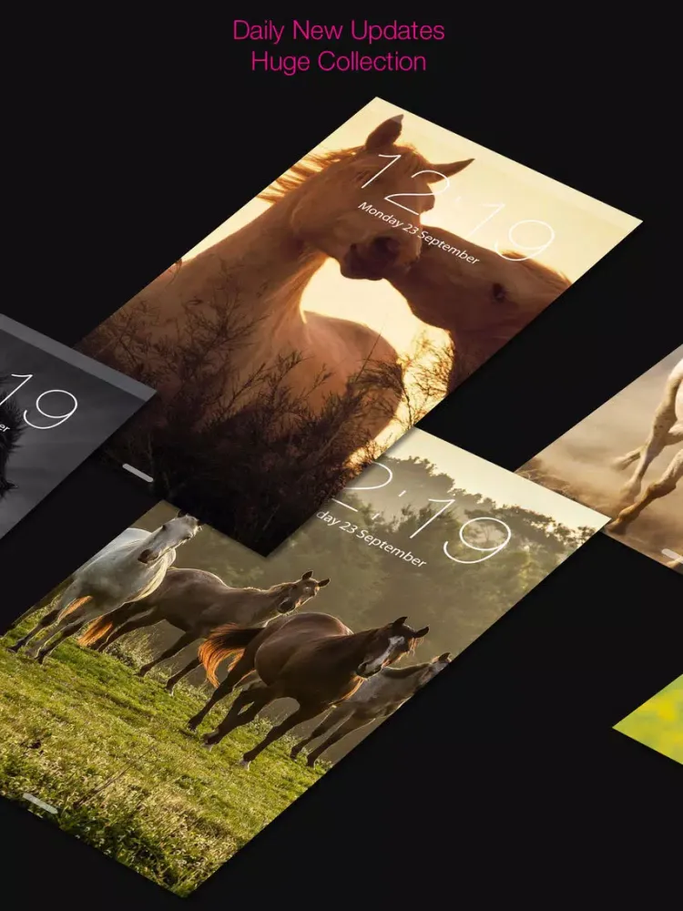 Horse Wallpapers & Background iPad  Screenshots