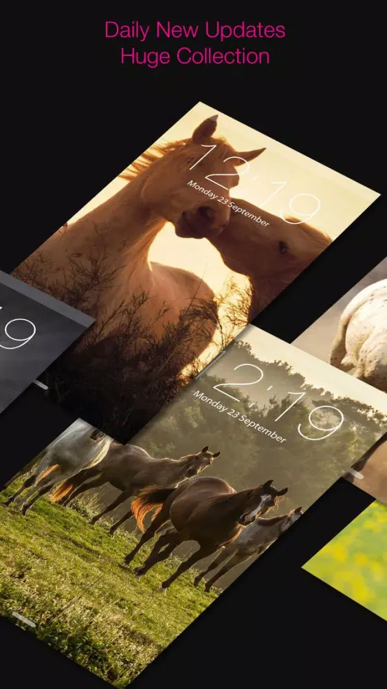 Horse Wallpapers & Background Screenshots