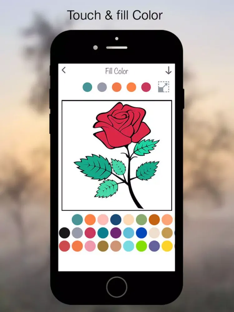 Coloring Book - Flower iPad  স্ক্রিনশট