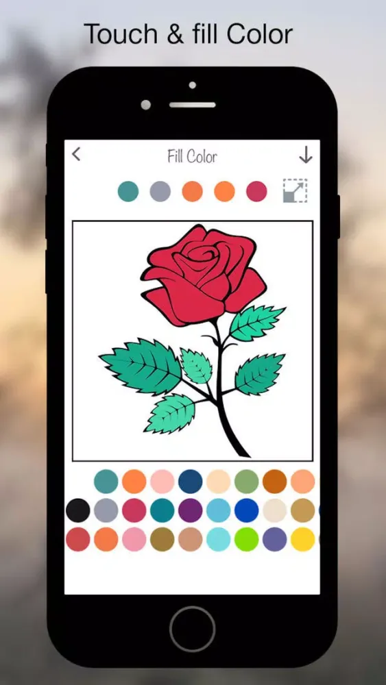 Coloring Book - Flower স্ক্রিনশট