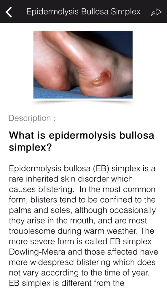 Skin Disease Problems and Care Screenshots