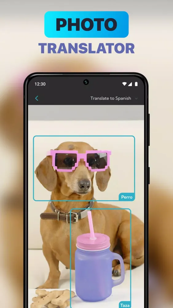 Voice Translator All Language應用截圖