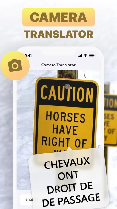 Voice All Language Translator Screenshots