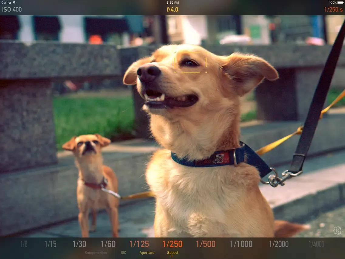 Lux - Professional Light Meter for Film Photography iPad  स्क्रीनशॉट