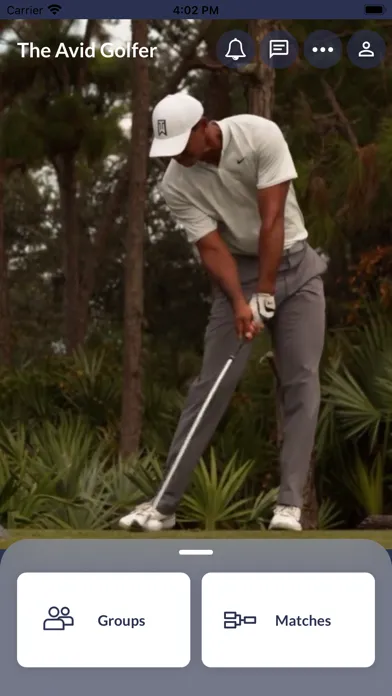 The Avid Golfer स्क्रीनशॉट