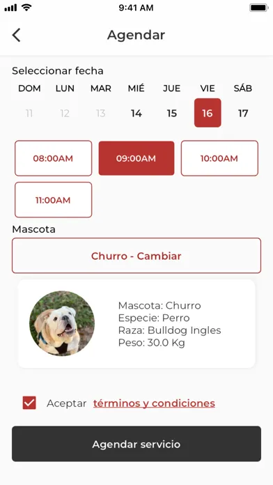 Maxipet سکرین شاٹس