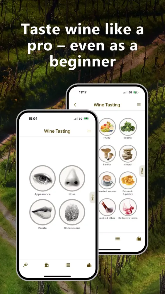 Wine Tasting应用截图