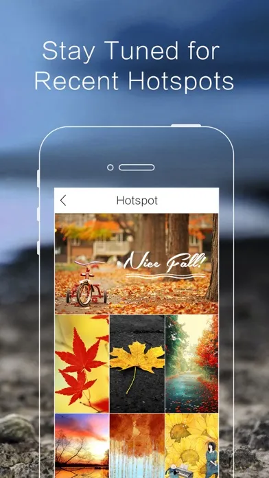 Backgrounds & Wallpapers স্ক্রিনশট