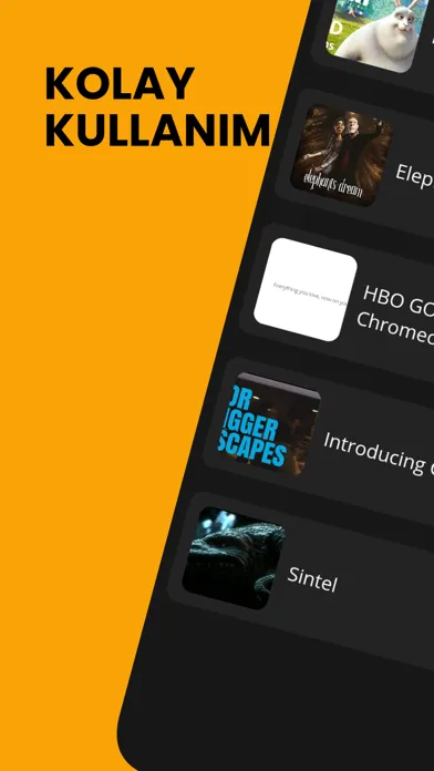 Ảnh chụp màn hình của Rise IPTV - iptv player