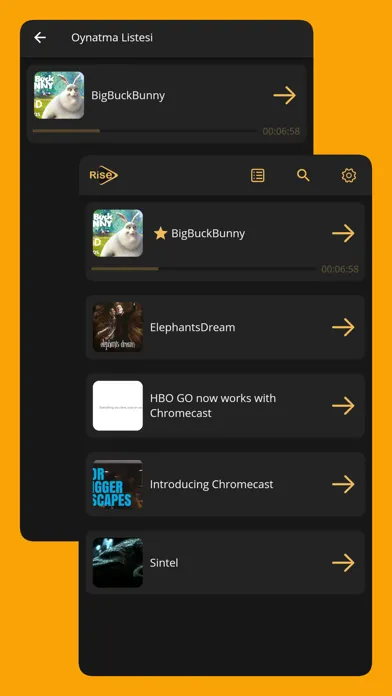 Ảnh chụp màn hình của Rise IPTV - iptv player