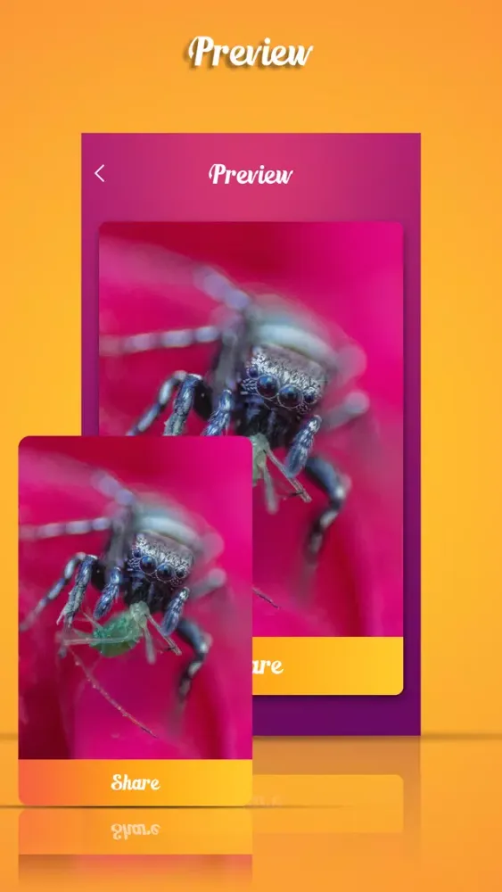 تصاویر Prank Video - Whats Fun App