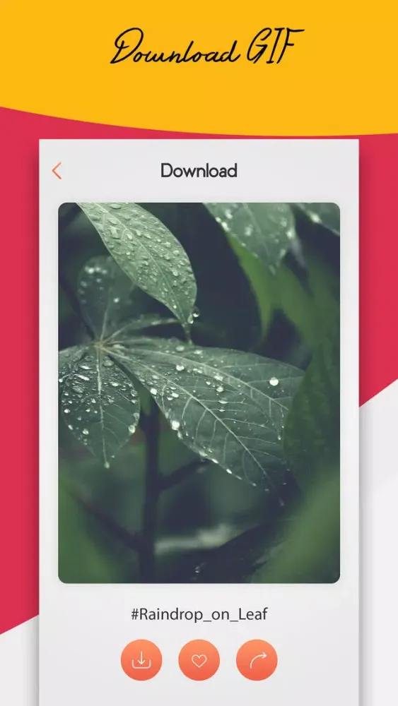 GIF Viewer - Live Video Status Screenshots