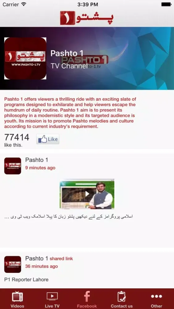 Pashto1 TV স্ক্রিনশট